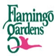 flamingo gardens